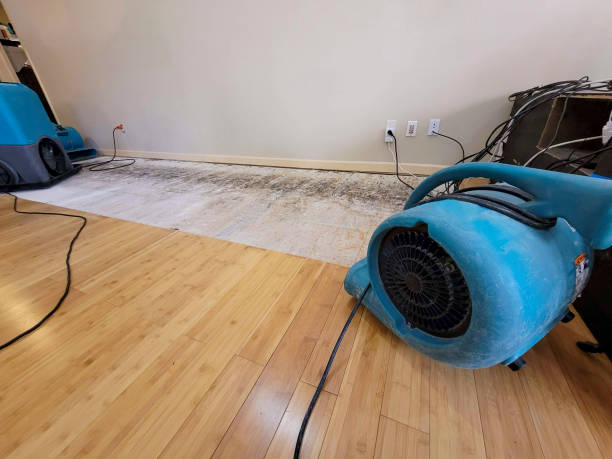 Professional Water Removal technician working in Ballico, CA